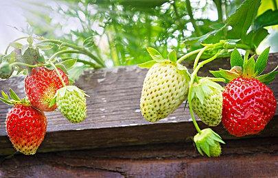 《死亡搁浅2》开发进入最终阶段 小岛秀夫感叹岁月不饶人